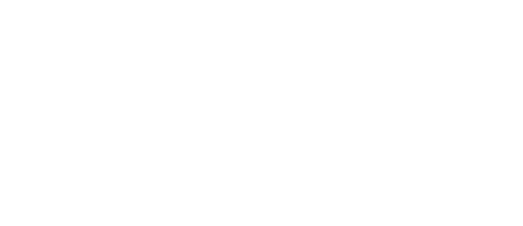 Vow Nutrition Logo