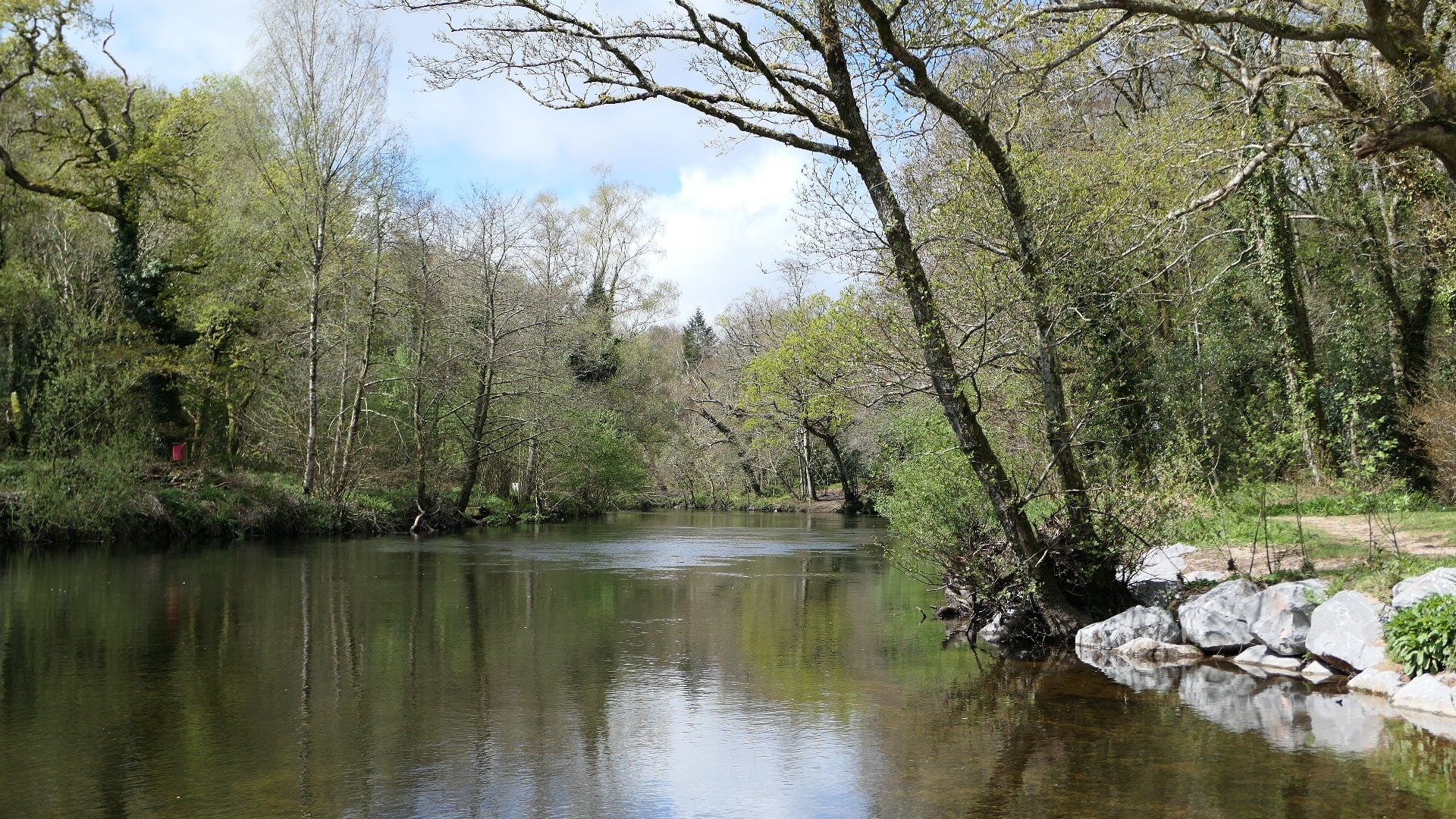 Holne Weir | Places to Paddle | Paddle UK