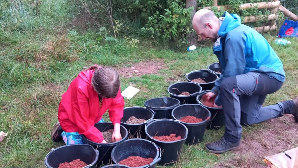 Seed preparation at Hoarwithy